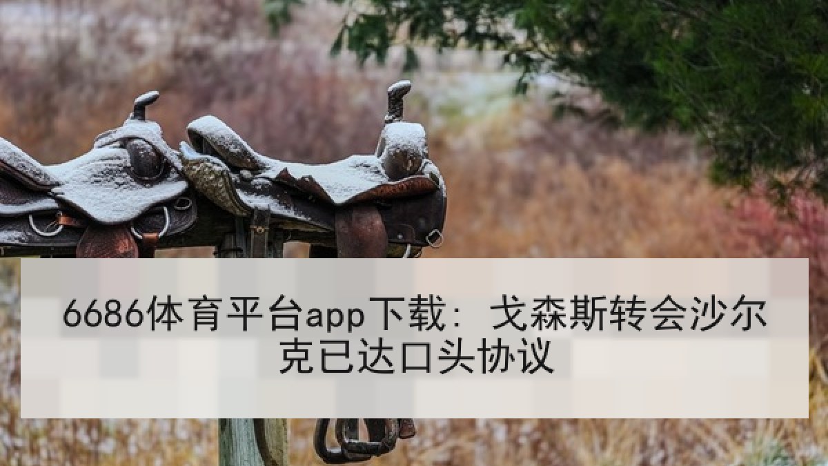 6686体育平台app下载: 戈森斯转会沙尔克已达口头协议 6686体育平台app下载: 戈森斯转会沙尔克已达口头协议